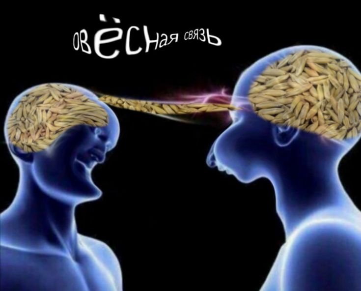 Миндальная связь мемы