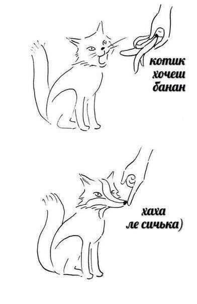 Котик бананчик