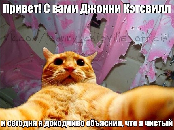 Джонни Кэтсвилл