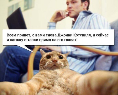 Кот Джонни Кэтсвилл