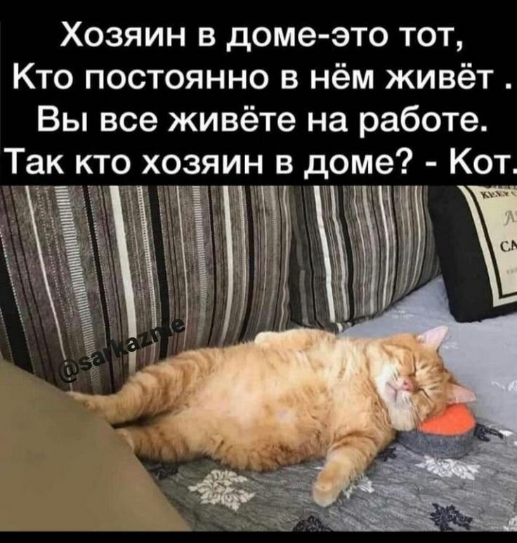 Открытки пожрать и поспать