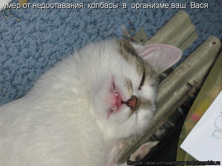 Наелся и уснул