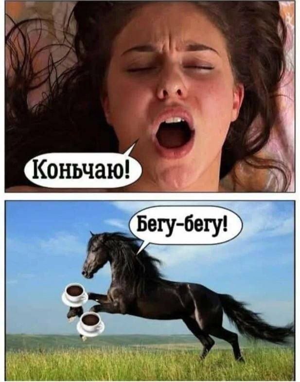 Конь чаю