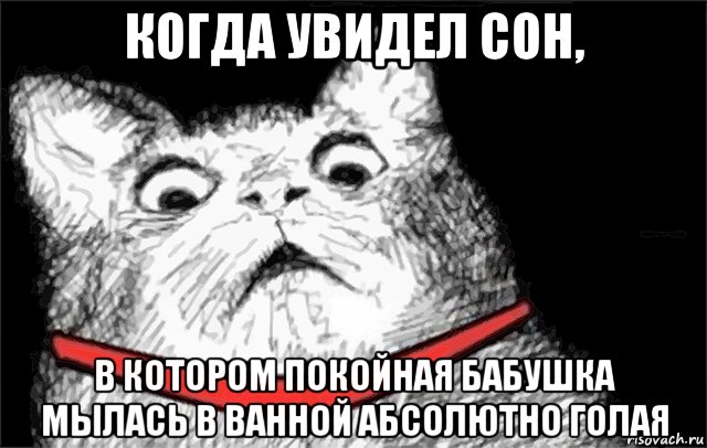 Абсолютная Мем