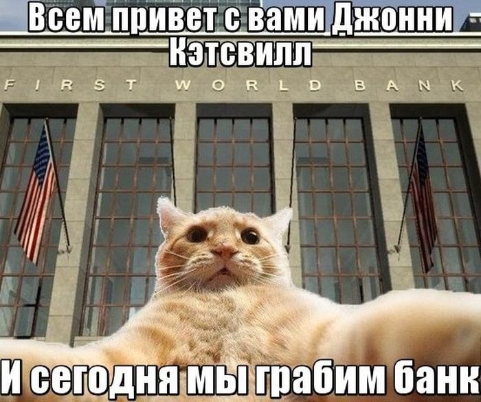 Мемы про котов Джонни Кэтсвилл