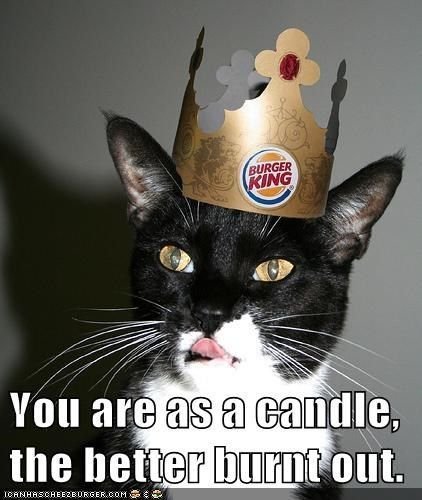 Кот в короне