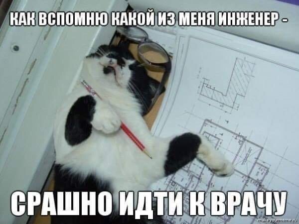 Кот проектировщик