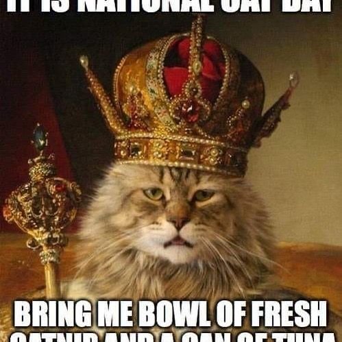 Кот с короной