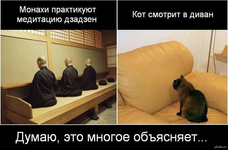Шутки про медитацию