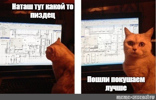 Кот инженер