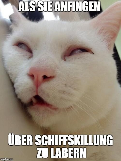 Коты с узкими глазами