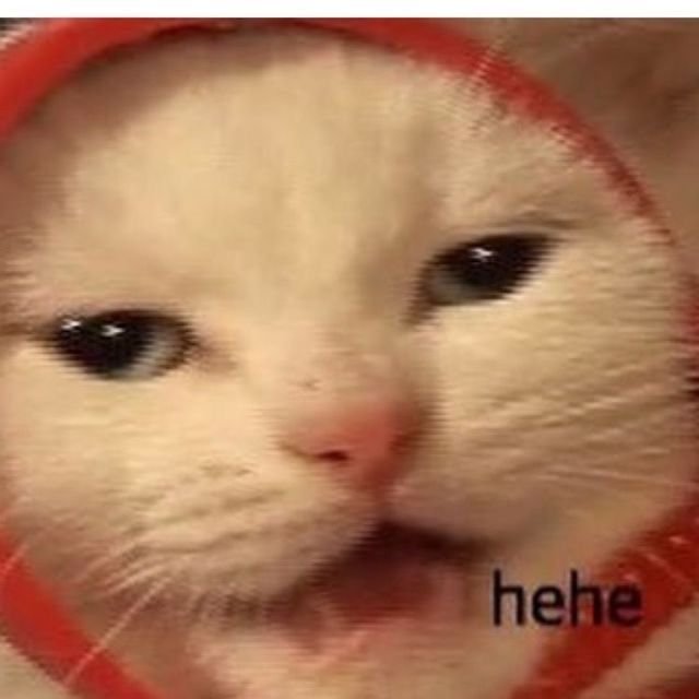 Hehe кот