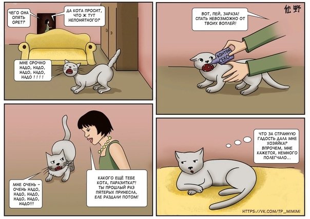 Кастрация кота Мем