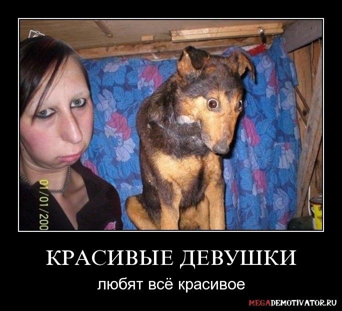 Демотиваторы про щенков