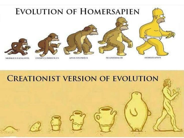 Мемы про эволюцию