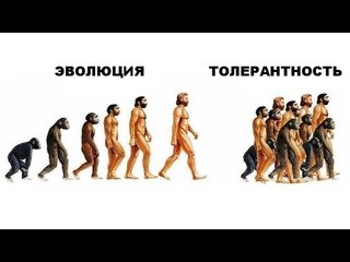 Эволюция толерантность