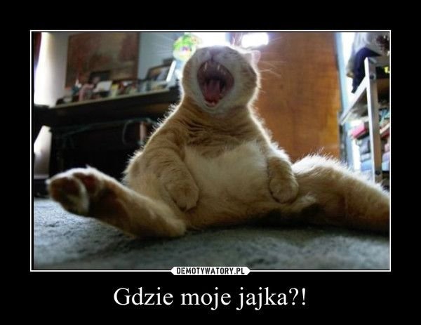 Кастрация кота демотиватор