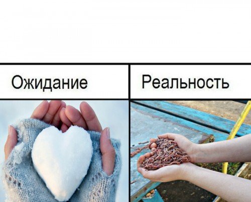 Ожидание реальность Мем