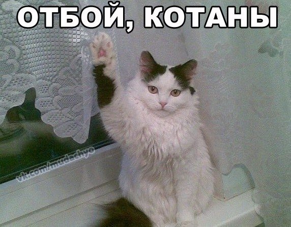 Здарова Мем