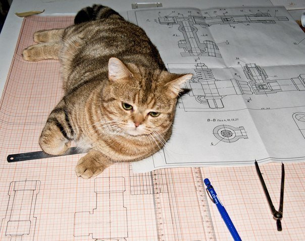 Кот инженер