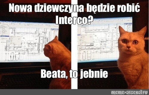 Кот инженер Мем