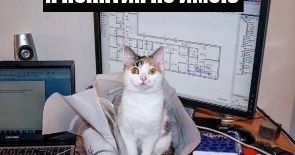 Кот инженер