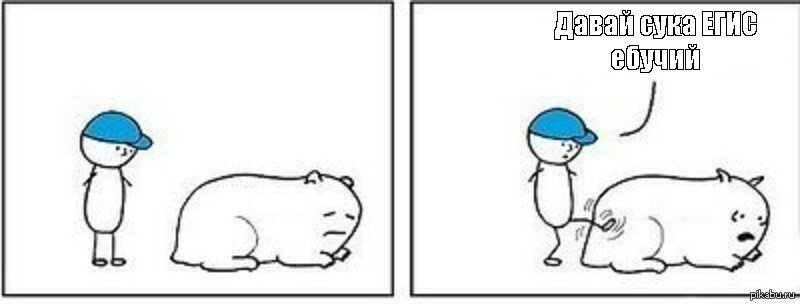 Кота пинает