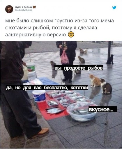 Мем с котами и рыбой оригинал