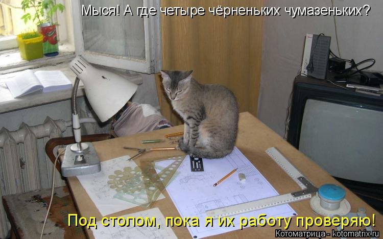 Кот инженер Мем