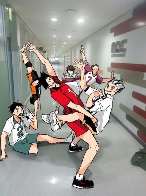 Фандом хайкью