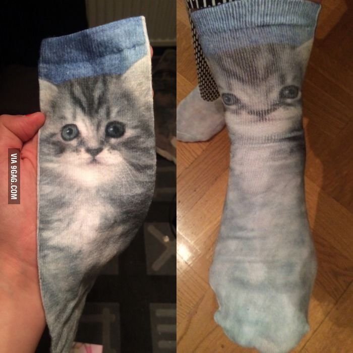 Носки для кота