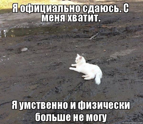 Кот на стройке Мем