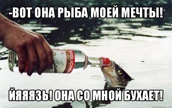 Мемы про рыбок