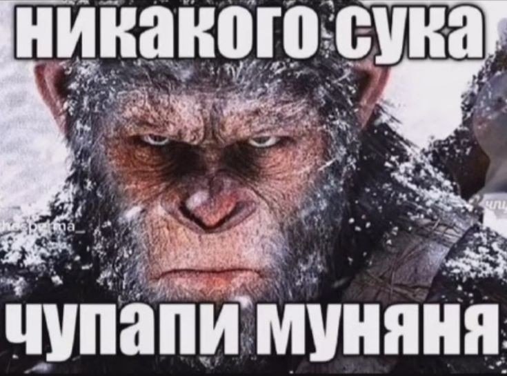 Никакого нахуй чупапи муняня