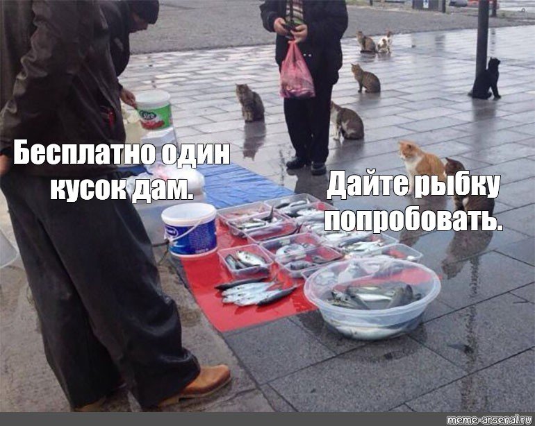 Мем с котами и рыбой оригинал