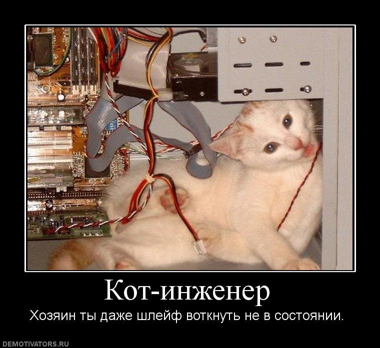 Котики в системном блоке