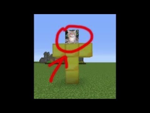 Кот носок ава