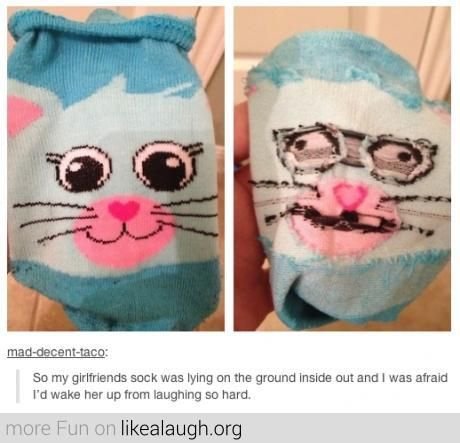 Котик носок Мем