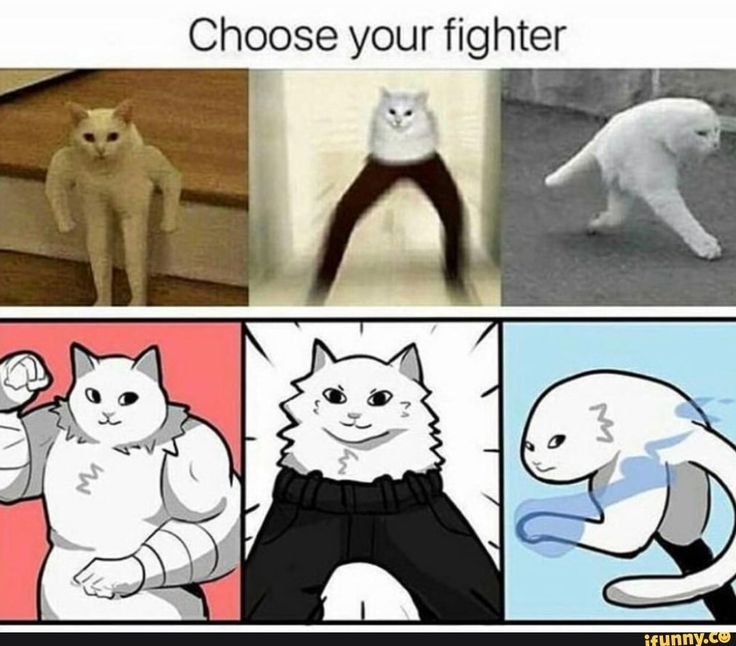 Хехе Мем кот