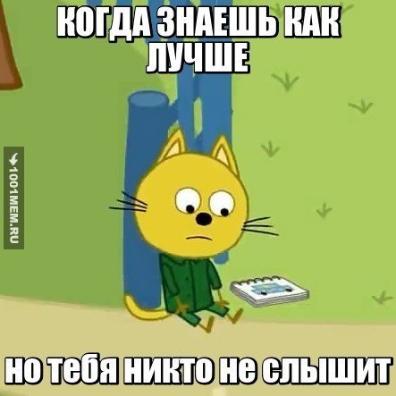 Мемы. Мемы три кота