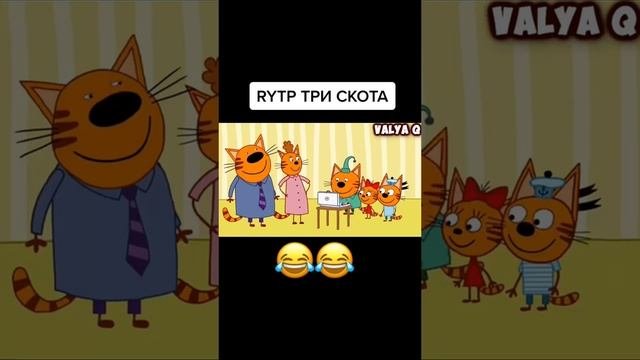 Три кота приколы