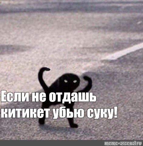 Угрожающие мемы с котами
