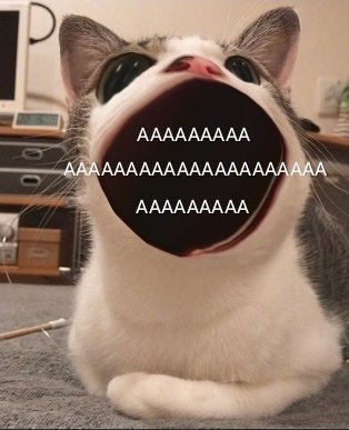 Кот ааааааа