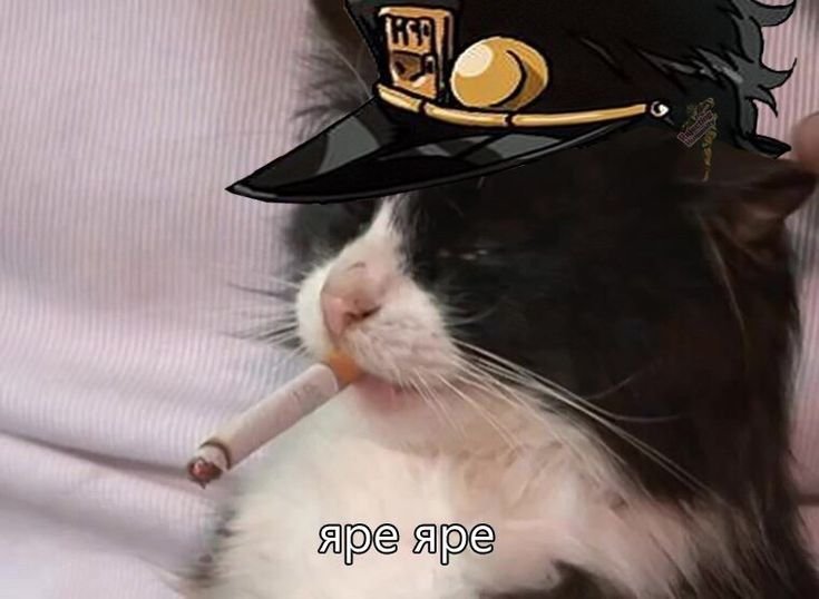 Грустный котик с сигаретой