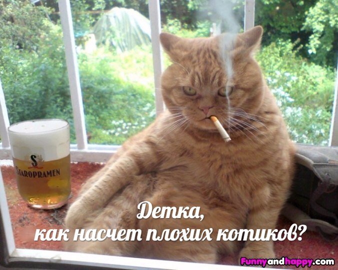 Коьс сигаретой