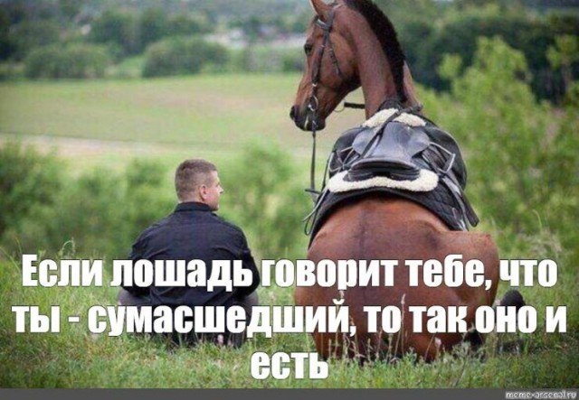 Смешная шутка про коня