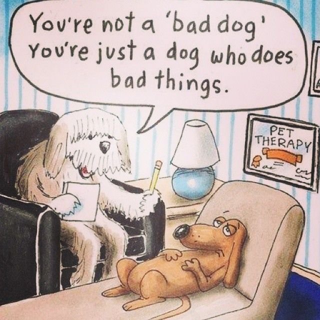 Смешной психолог