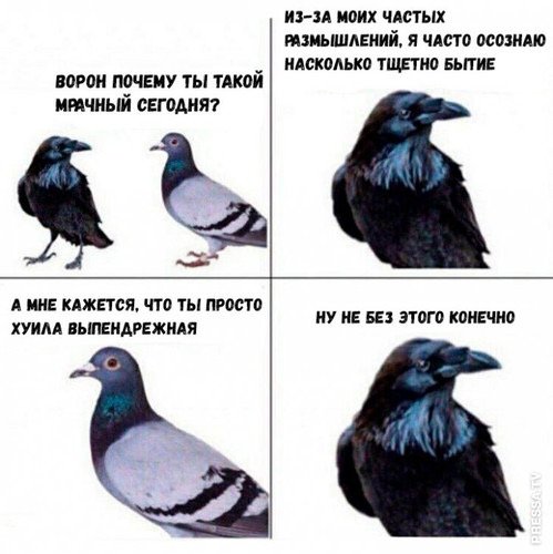 Мемы с вороной