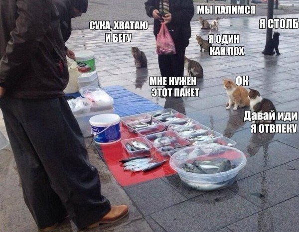 Вы рыб продаете Мем