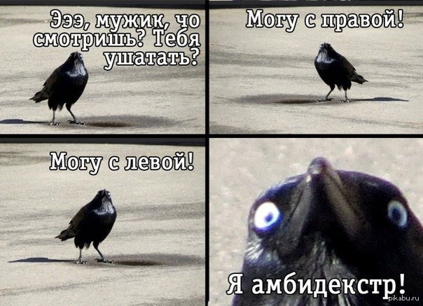 Амбидекстр прикол